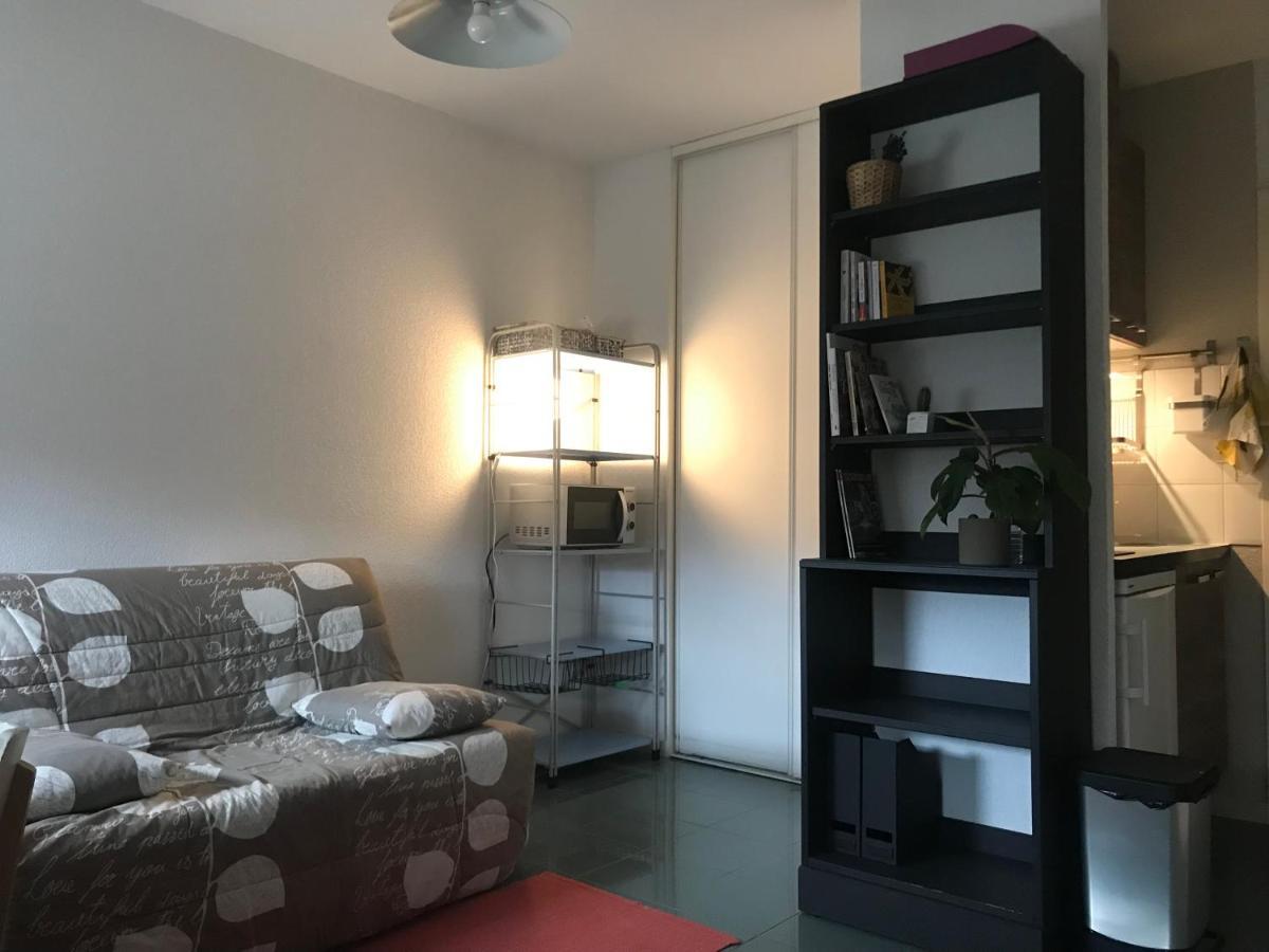 Appartement Dans Toulouse Hyper Centre Εξωτερικό φωτογραφία